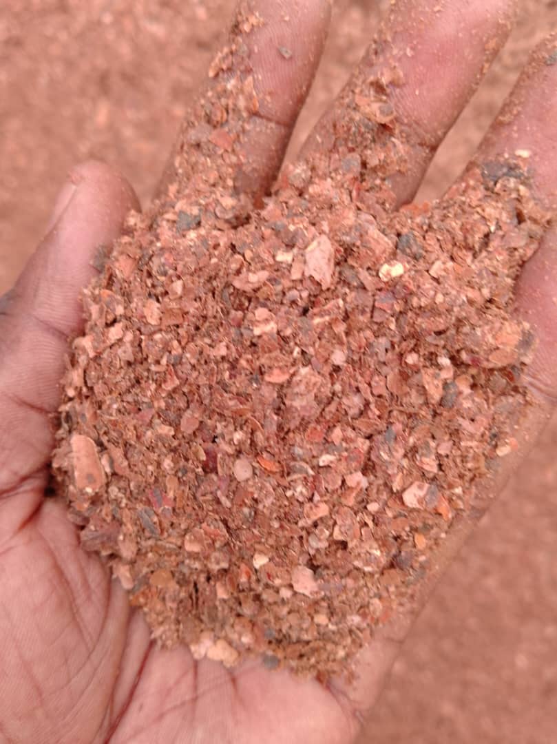 Cocoa Shells / Coque de Cacao